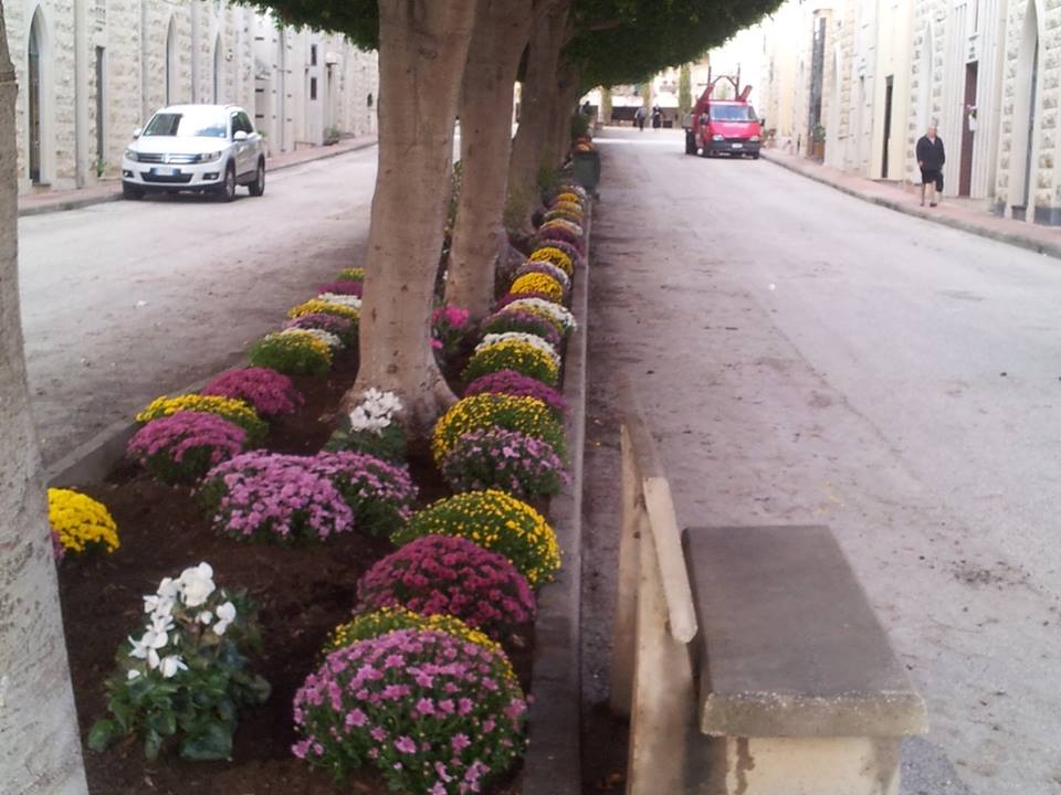 Siracusa: il comitato “Gli Angeli” contro l’incuria del cimitero. Avola: “La situazione non cambia”