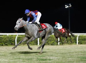 Equitazione Siracusa Times