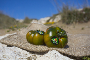 Foto Pomodoro IGP di Pachino HQ 05