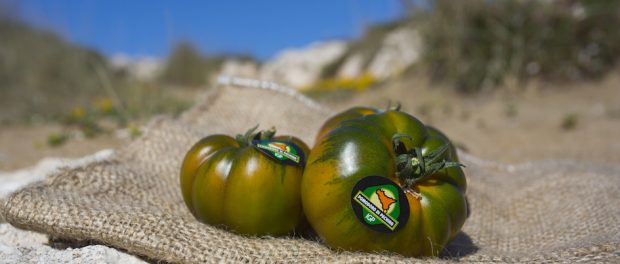 Foto Pomodoro IGP di Pachino HQ 05