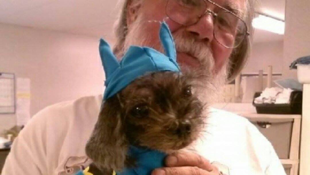 Gli rubano il cane, lo ritrova dopo otto anni a Denver