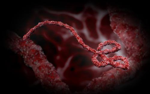 Ebola: primo cittadino italiano contagiato. Verrà trasferito allo Spallanzani di Roma