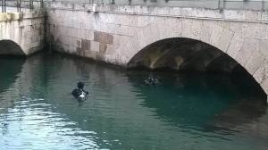 rsz_pulizia_riva_forte_gallo_siracusa_times_2