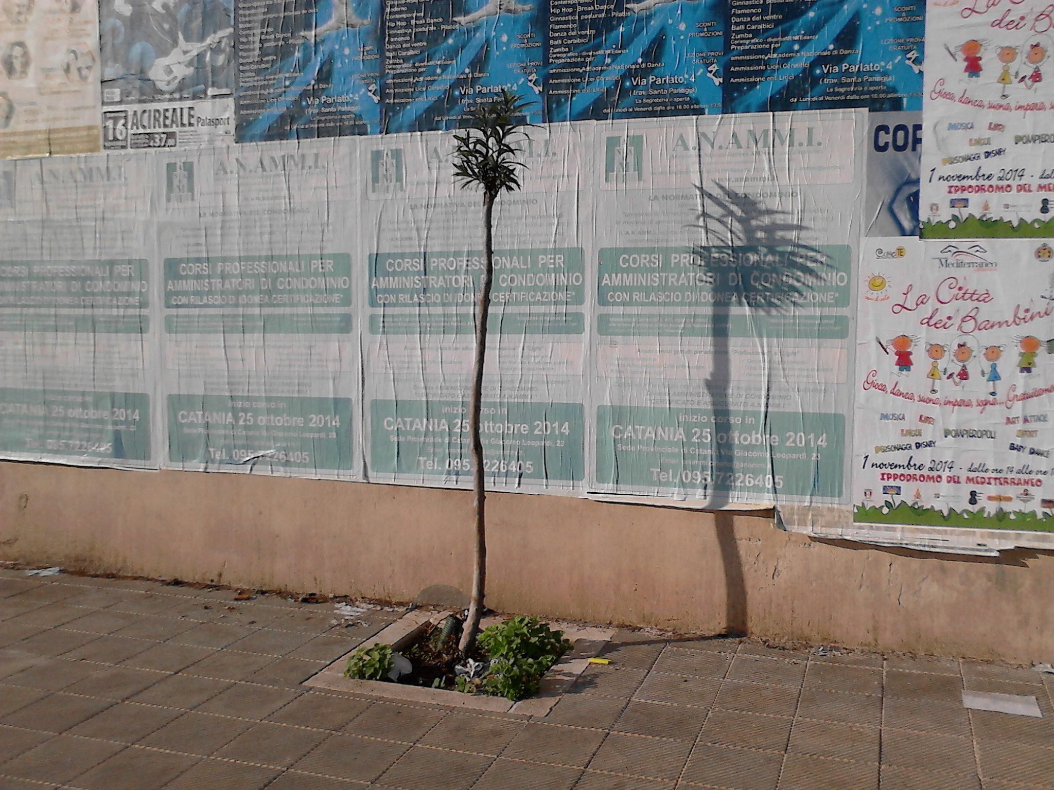 Siracusa Segnalazioni: affissioni pubblicitarie prive di controllo in viale Scala Greca