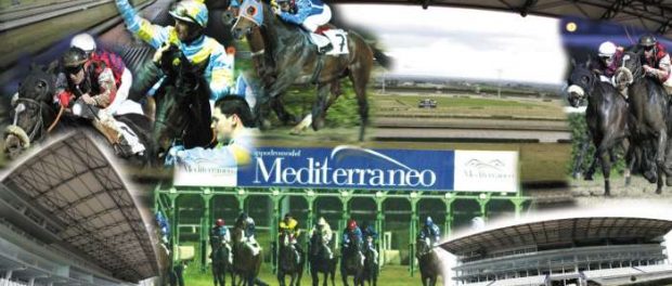 Ippica Siracusa Times 