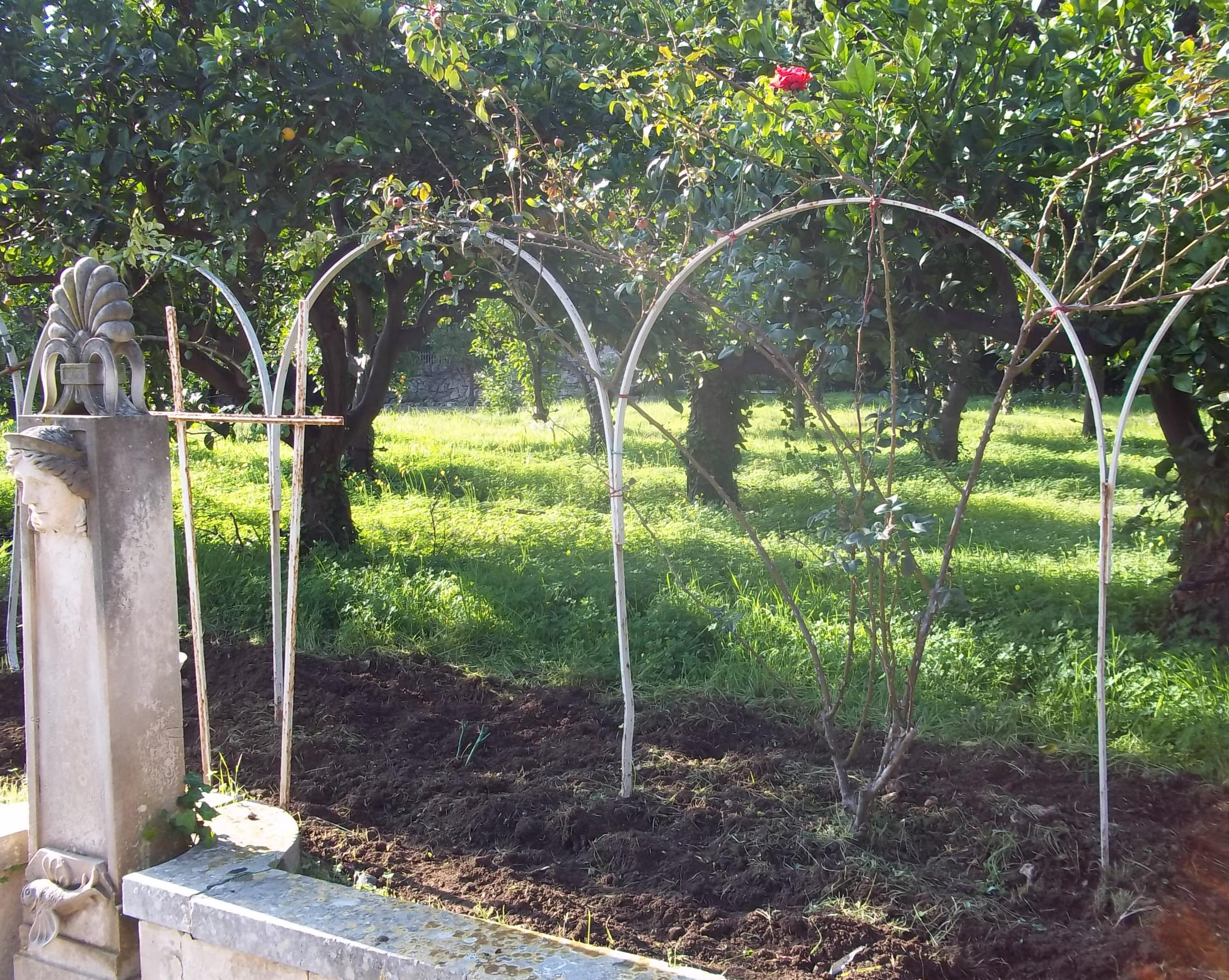 Siracusa: reimpiantato il roseto per il recupero Villa Reimann