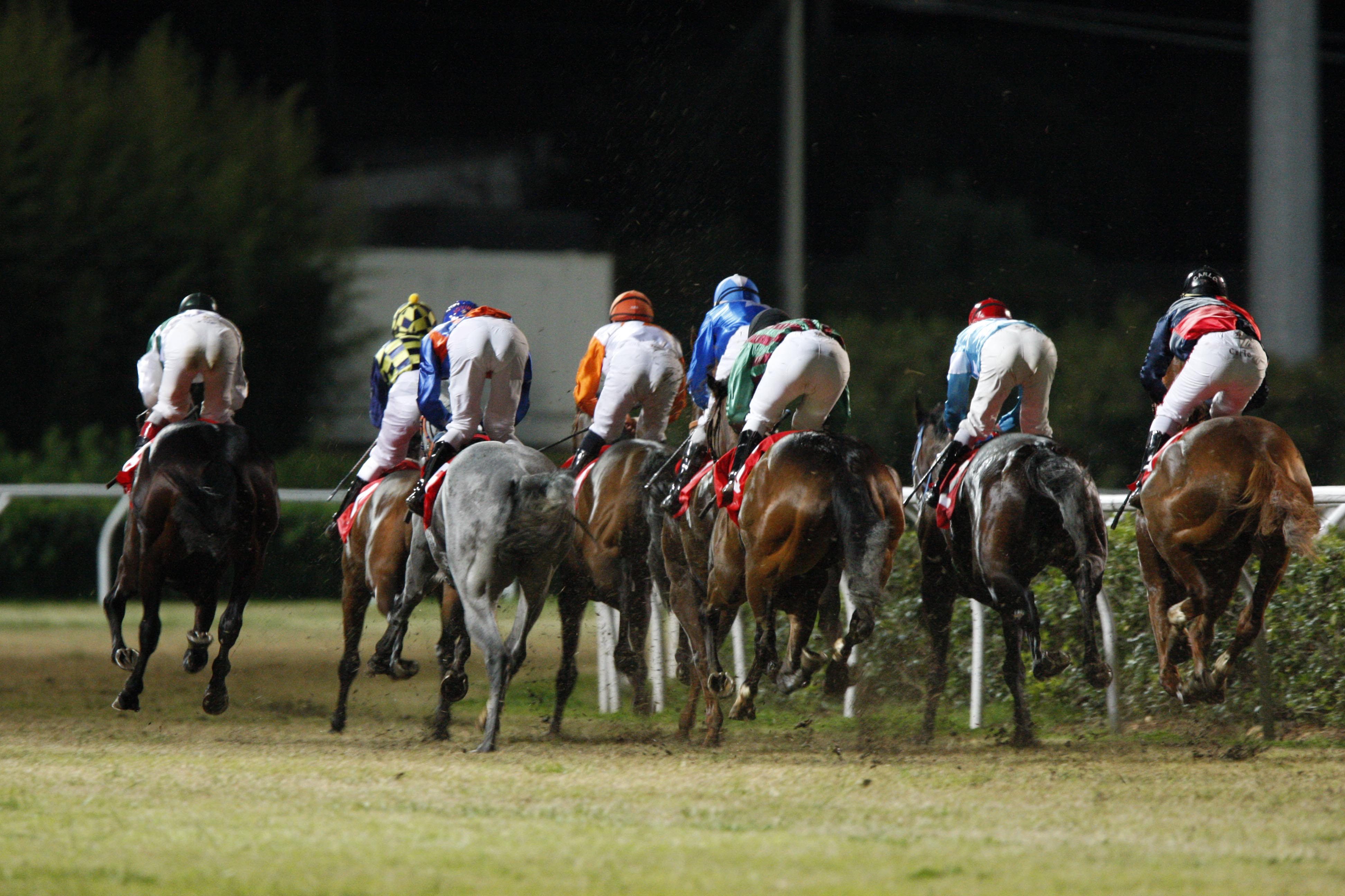 Siracusa: in programma, sabato 24, la quinta corsa del convegno ippico all’Ippodromo del Mediterraneo