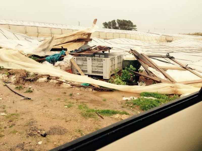Siracusa: le Istituzioni si mobilitano per far fronte alle problematiche causate in campo agricolo dal mal tempo