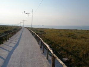 pista ciclabile siracusa times