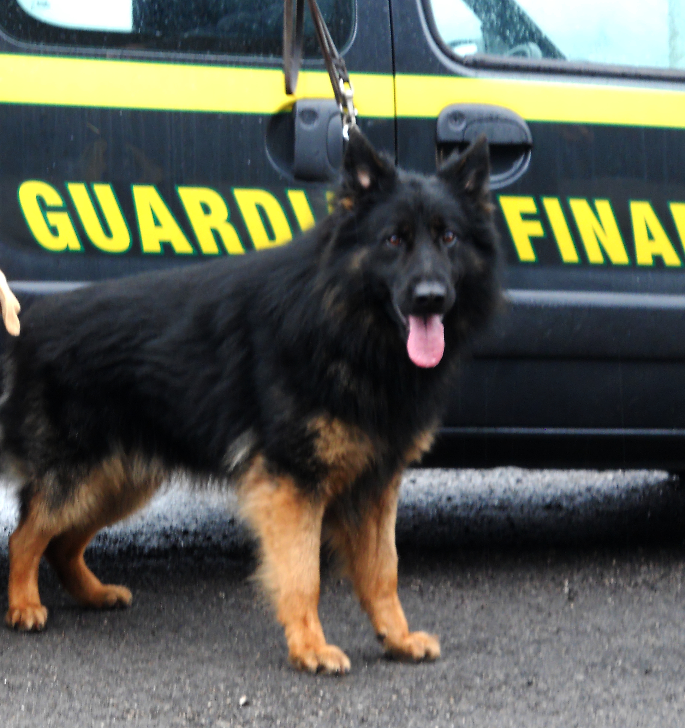 Messina: la Guardia di Finanza sequestra 2 chilogrammi di cocaina ed arresta un 35enne palermitano