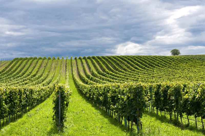 Rosolini: si riuniranno stasera in assemblea gli agricoltori di Pachino e Portopalo che hanno subito i danni del maltempo