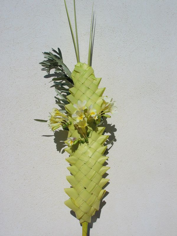 Siracusa: ladri di palme, il fine è sacro ma il gesto è illegale. Due persone arrestate dai Carabinieri