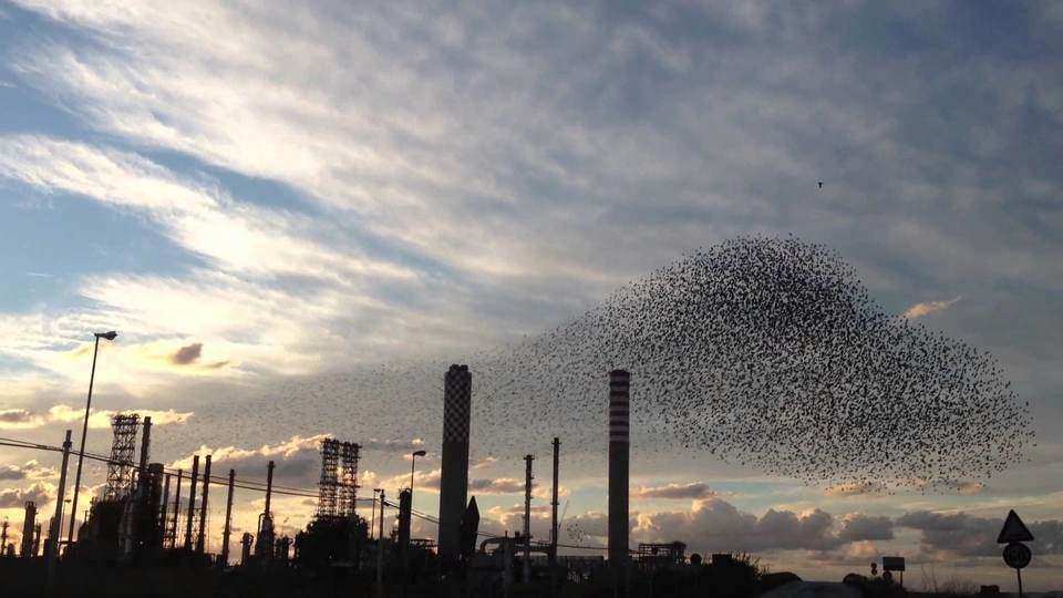 Priolo Gargallo: dal primo marzo inizio attività fermata ISAB. Manutenzione, sicurezza e investimenti