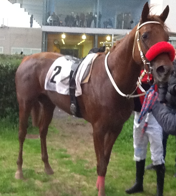 Siracusa: Guanyto Sprint star al Mediterraneo