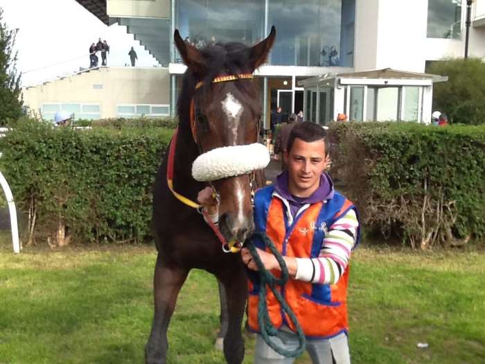 Siracusa: pomeriggio d’intenso sport ippico all’Ippodromo del Mediterraneo