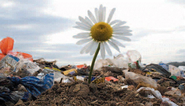 Priolo Gargallo: immondezzaio da record in contrada Biggemi, la denuncia di Legambiente