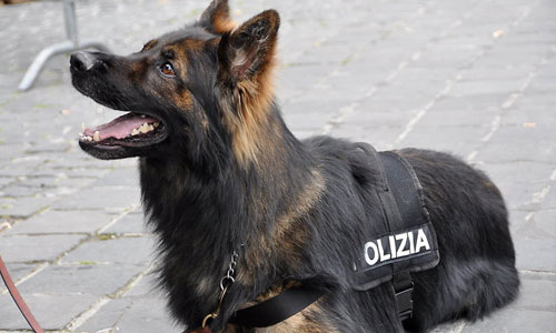 Sicilia, Ragusa: mezzo kilo di eroina pura nascosta tra i dolciumi, due corrieri arrestati dalla Polizia