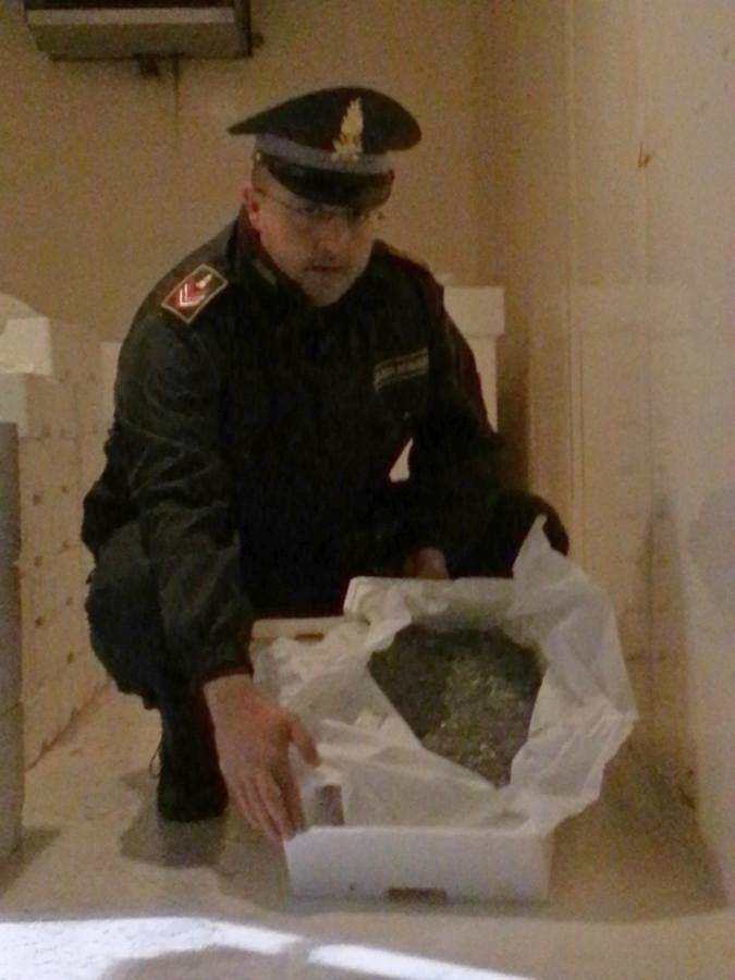 Sicilia, Catania: una tonnellata di novellame sequestrata dalla Guardia di Finanza, denunciati tre responsabili