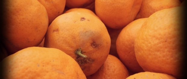 arance siracusa times