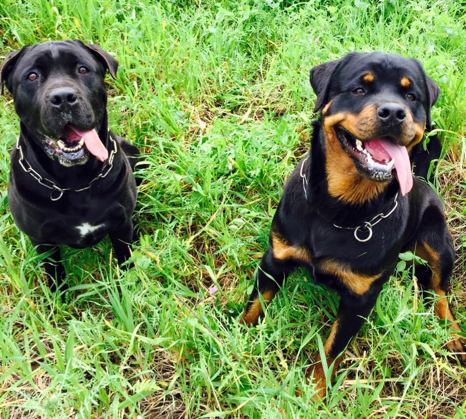 Siracusa: tentato furto presso la villa del campione mondiale di scherma  Stefano Barrera