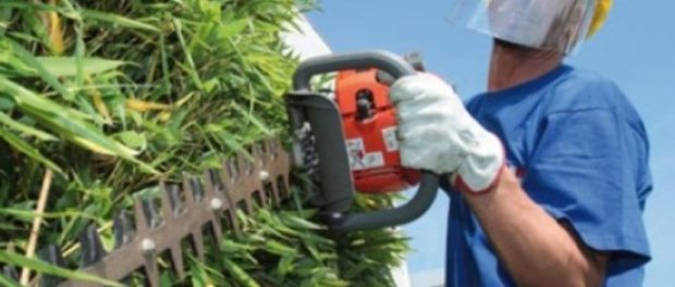 verde-pubblico-600x250-Custom