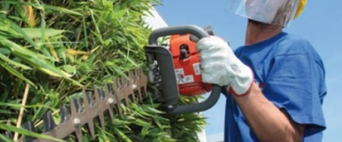 Siracusa, bando verde pubblico: Vinciullo, Bandiera e Spadaro contro l’inutilità del bando e il Sindaco Garozzo