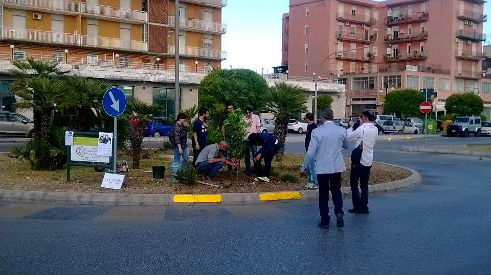 Siracusa, piantumazione albero area Santa Panagia.  La posizione dell’Amministrazione, Gasbarro: “eravamo all’oscuro di tutto”