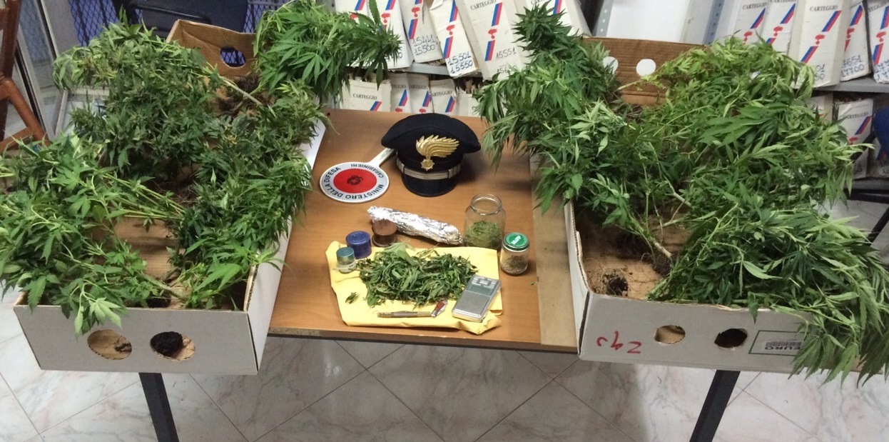 Rosolini, coltivava canapa indiana in casa. Arrestato dai Carabinieri