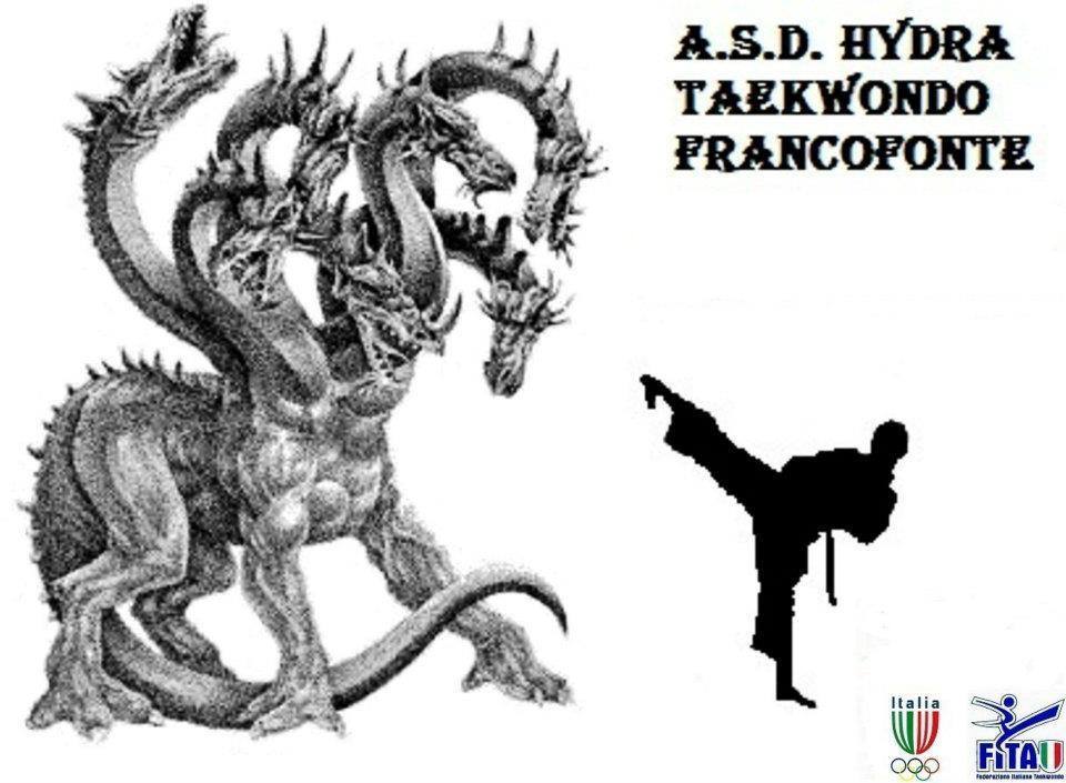 Francofonte: medaglie per l’ASD Hydra TKD agli interregionali