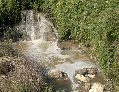 Il meetup ‘movimento 5 Stelle Francofonte’ continua a chiedere a gran voce l’attivazione dell’impianto di depurazione