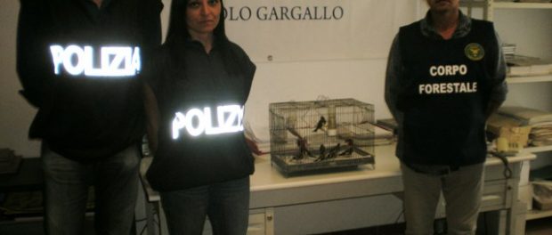 questura siracusa times