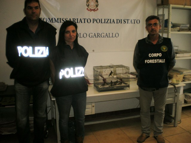 Priolo: uomo denunciato per il reato di uccellagione e di cattura di uccelli