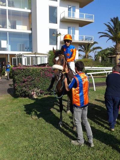 Siracusa, Ippica: Sopran Tonia, grande conferma