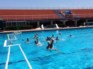 Igm Ortigia Siracusa Times