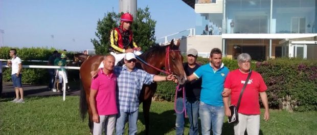 peace and love siracusa times