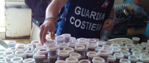 rsz_img-20150528-wa0003