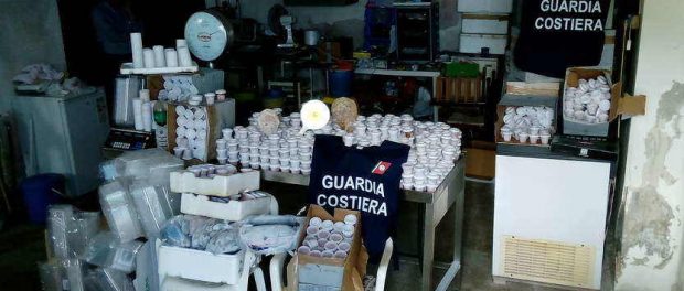 rsz_img_20150528_130328