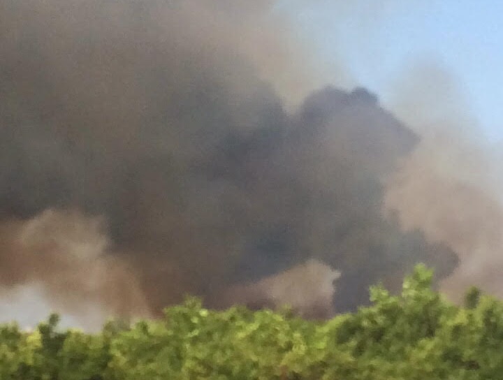 Siracusa: vasto incendio in zona Circuito. Guarda il video