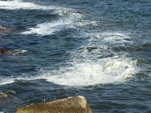 Mare inquinato Siracusa Times  (6)