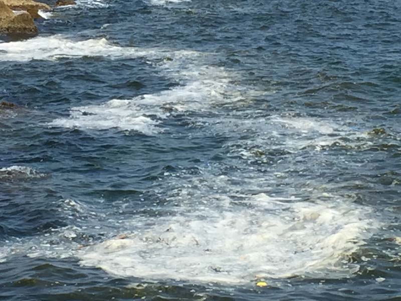 Niente bandiere blu per Siracusa, problemi di fruizione e inquinamento: le proposte di Evoluzione Civica