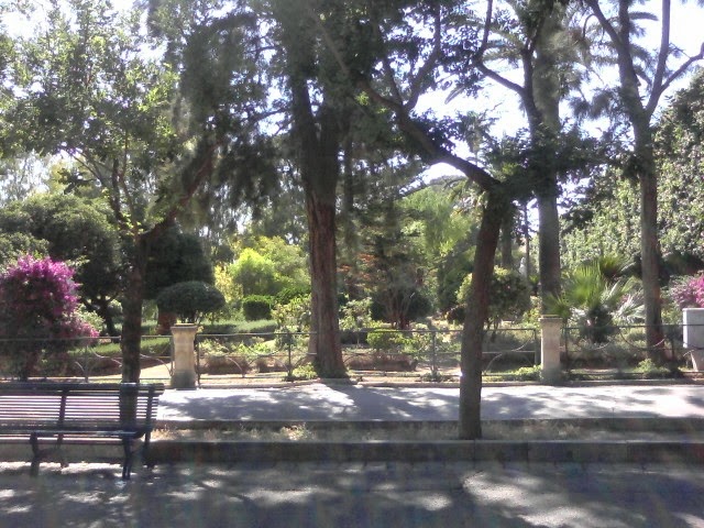 Noto: ferito un uomo alla Villa comunale, è caccia al colpevole