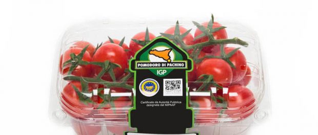 Pomodoro siracusa times