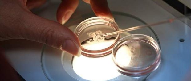 fecondazione in vitro siracusa times