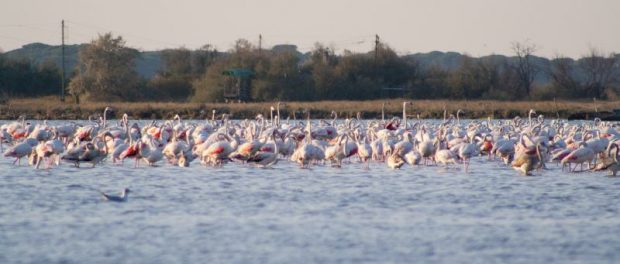 Immagine di repertorio