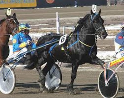 Siracusa, ippica: si torna in sulky all’Ippodromo del Mediterraneo