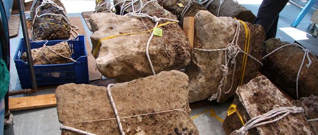 reperti siracusa times