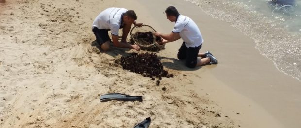 ricci capitaneria Siracusa Times