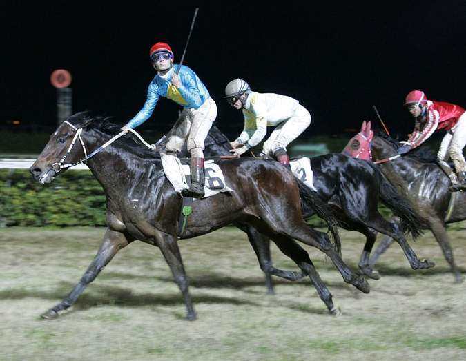Siracusa,Ippica: si chiude il galoppo con Idomeneo e Rayos de Sol