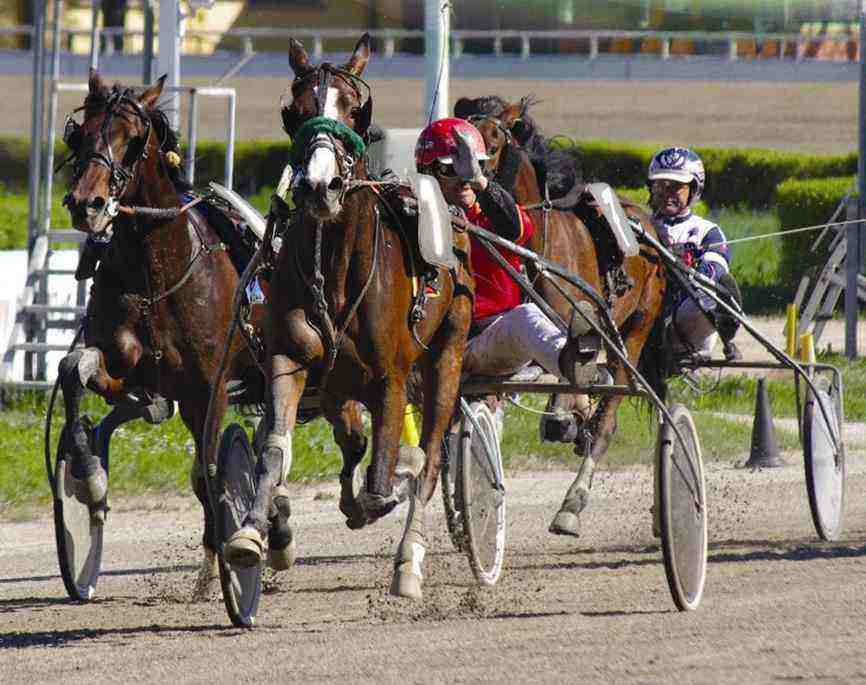 Siracusa, Ippica: Al Mediterraneo si va in sulky