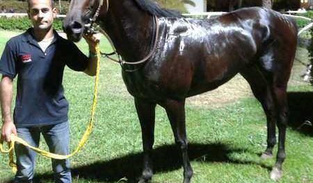 saint steven siracusa times